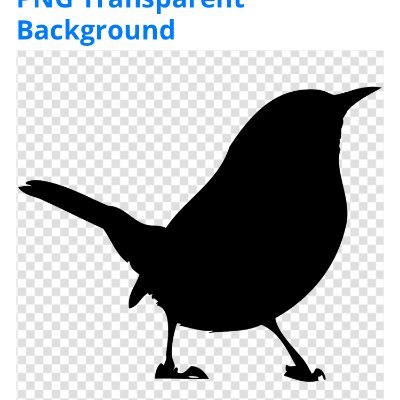 mr_vogele's profile picture. 