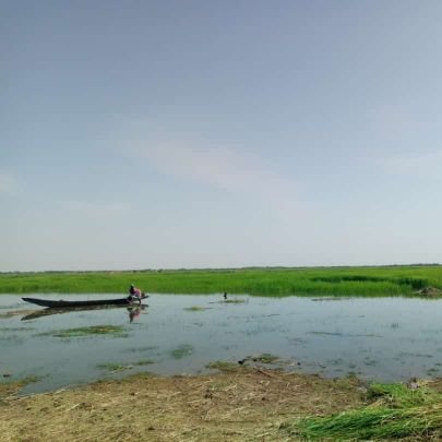 Alhader03925933's profile picture. 