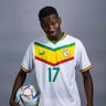 papematarsarr15's profile picture. Official Account - Football player - @SpursOfficial & @FSFOfficielle 🦁🇸🇳 - @nikefootball