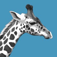 桶乃かもく🦒 (@k_okeno) 's Twitter Profile