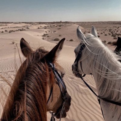 {رَبِّ إِنِّي لِمَا أَنزَلْتَ إِلَيَّ مِنْ خَيْرٍ فَقِير}