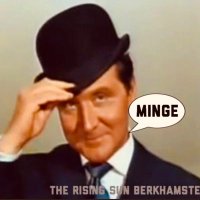 The Rising Sun (@theriserberko) 's Twitter Profile