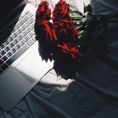 dia233332347's profile picture. 