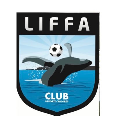 LIFFA CLUB, surge como Liga de Fútbol Amateur, 1 de mayo de 2008. Luego sumó otras disciplinas. El deporte es el pretexto para reencontrarnos cada fin de semana