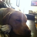 Shaun Gordon - @shaungo5point1 - Twitter