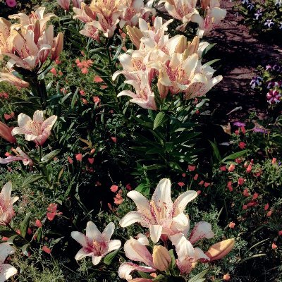 SnowWhite928's profile picture. люблю проституток