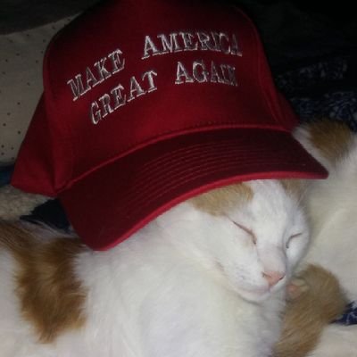 Patriot & ⭐Veteran 🇨🇱🇺🇲 MAGA
Single MOM who wants to kick some metaphorical ass 💩
TRUTH SEEKER 👽🛸🔭🌌🐱🐶
🙈🙉🙊
♻️YES/NOT Climate Change 🚫✈️