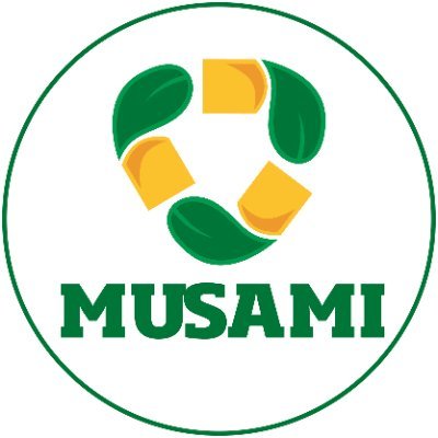 AmbienteMusami Profile Picture