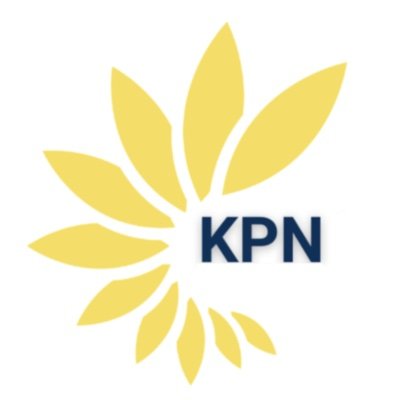 KPN Technology will provide measurably secure precision wafer dicing services, based in the United States of America.