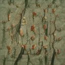 Tammy Early - @TammyEa80423874 - Twitter