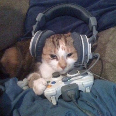 ApyrAmigo's profile picture. Eu me identifico como -invisível-, eu nasci visível, então agora eu sou trans-parente, meus pronomes são ca/dê