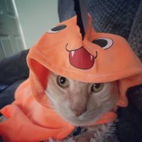 Rey (@r3y08) 's Twitter Profile