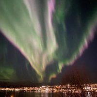 Gunnhilde Fjell (@fgunnhilde) 's Twitter Profile