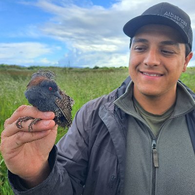 Apasionado por las aves y su conservación. Coordinador de Proyectos, Programa Aves Marinas. Red de Observadores de Aves y Vida Silvestre de Chile (ROC)