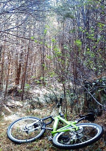 ExcursionesMTB's profile picture. Excursiones guiadas por los alrededores de Coyhaique. Trail bike (senderos), rural bike (caminos por el campo) y all mountain (toda montaña).