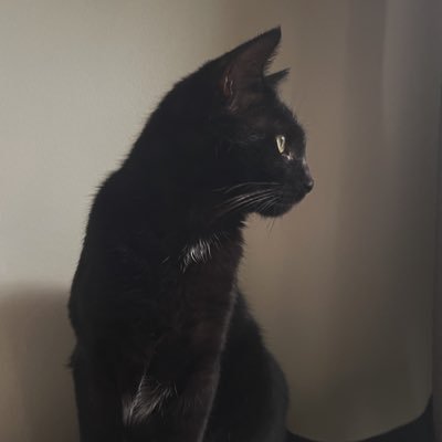 sirachaaa007's profile picture. 