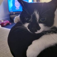 nic (@nicpcb01) 's Twitter Profile
