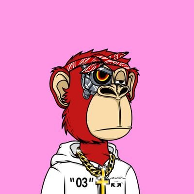 rowdeeez's profile picture. Web Developer | Crypto Enthusiast | IT