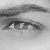 Af Zv (@afzv8) 's Twitter Profile