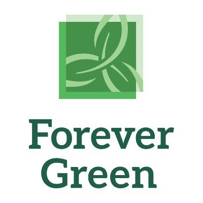 ForeverGreenUMN Profile Picture