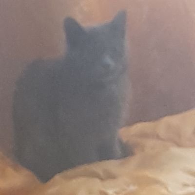 Dma11584002's profile picture. 