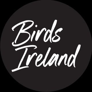 BIRDS IRELAND - ERIC DEMPSEY Purchase a limited edition, signed print by well-known birder, photographer, author, speaker, moth-er and Swarovski Ambassador.