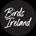 Birds Ireland (@EricTheBirdman) Twitter profile photo