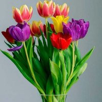 Aflak Ahmed Rao (@raoaflak) 's Twitter Profile