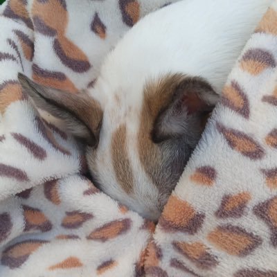 Kinks273's profile picture. 49. New to twitter, gothic writer, kinkster, queer. She/ her, cis. Running a lgbtqia safe disco in todmorden