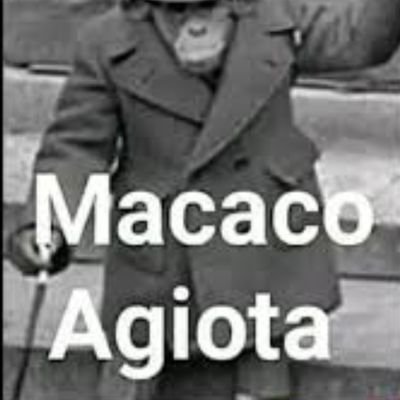 Um mamaco ADM 🗿🍷
Máfia Antártida
Agiota mais forte (aceitem fanboys)
E Duarte devolve os cavalos comunistas que te emprestei 🔫