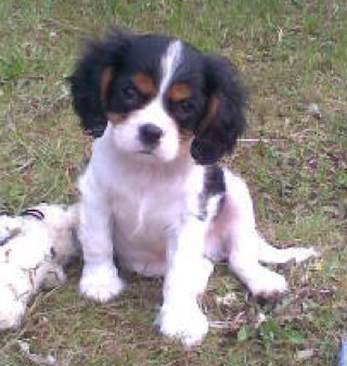 BadMarv's profile picture. the UK's favourite hotelier