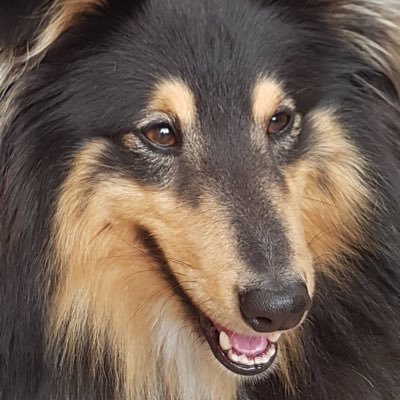 JohnHay111's profile picture. Lost in Lancashire