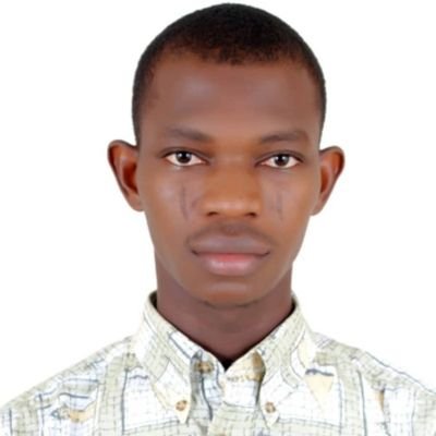 Adeyemi04583341's profile picture. 