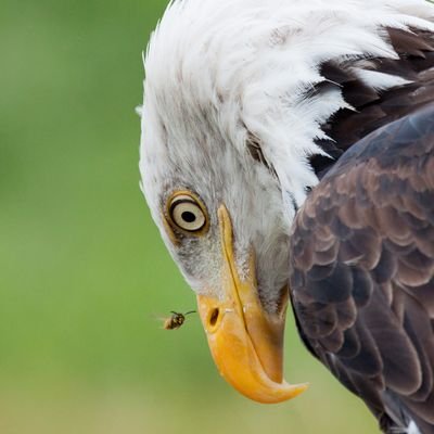 AkbarShakarov's profile picture. 