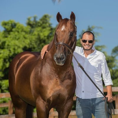 HugoBorges82's profile picture. 