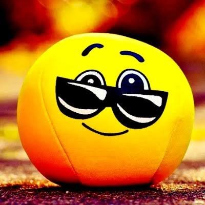 rattlersdesk's profile picture. This world is insane!