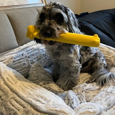 bluehat1978's profile picture. 