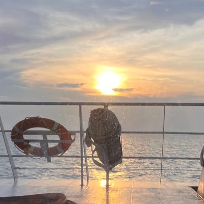 ycemilylai's profile picture. 
