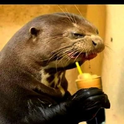 tzigouras's profile picture. 