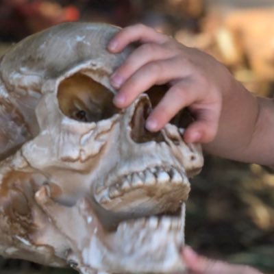 geronimosskull's profile picture. Building something