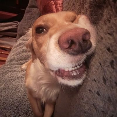 Mike_Graham_'s profile picture. Mischievous, mysterious, devious
 circulate amongst the people in the place,
 fun and something of a genius, Give a grin that goes around face to face to face.