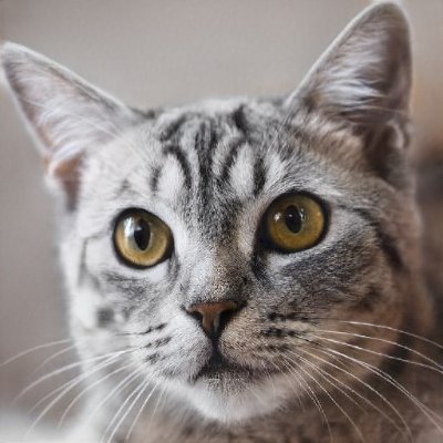 SarahRo58074031's profile picture. 