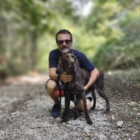 Stefano Nicita (@sfnnicita) 's Twitter Profile Photo