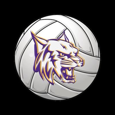 Lady Cat Volleyball
Follow for 2022-2023 updates, scores and more! 🏐 District 31-2A