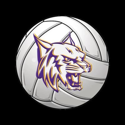 Lady Cat Volleyball 
Follow for 2022-2023 updates, scores and more! 🏐