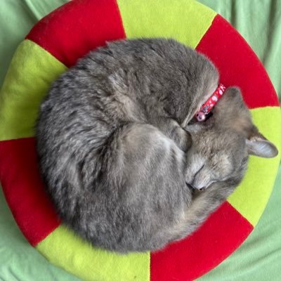 erica_hess_'s profile picture. 