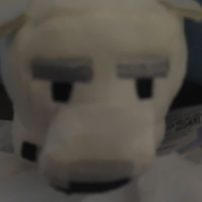 MDT56mZ912f0OfT's profile picture. ミーコと申します
宜しくです（笑）