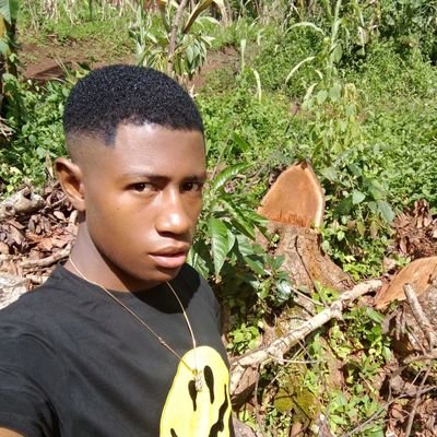 DYumpou's profile picture. 