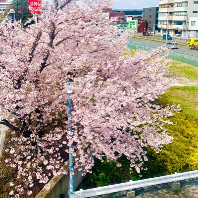 yanabouz's profile picture. 