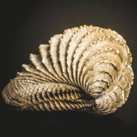 UT Martin Coon Creek Science Center (@utmccsc) 's Twitter Profile Photo UT Martin Coon Creek Science Center (@utmccsc) 's Twitter Profile Photo